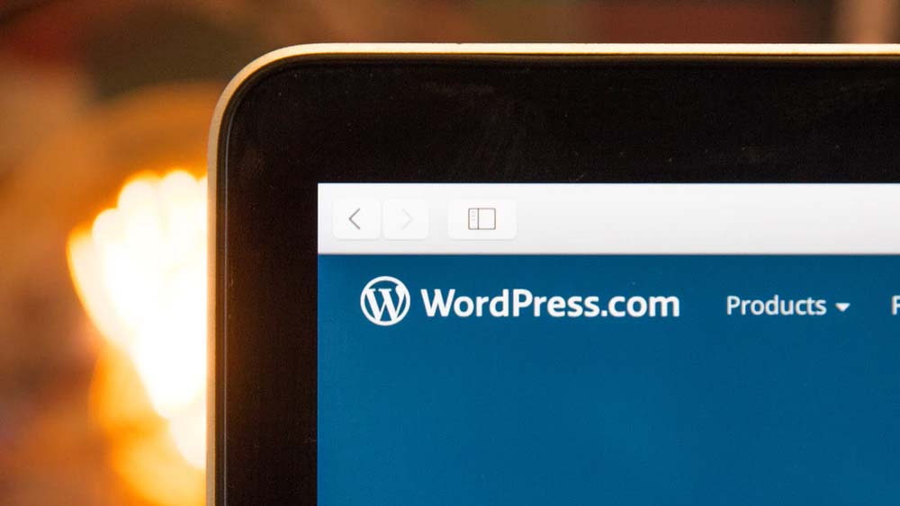 Should You Use WordPress for Your Website?